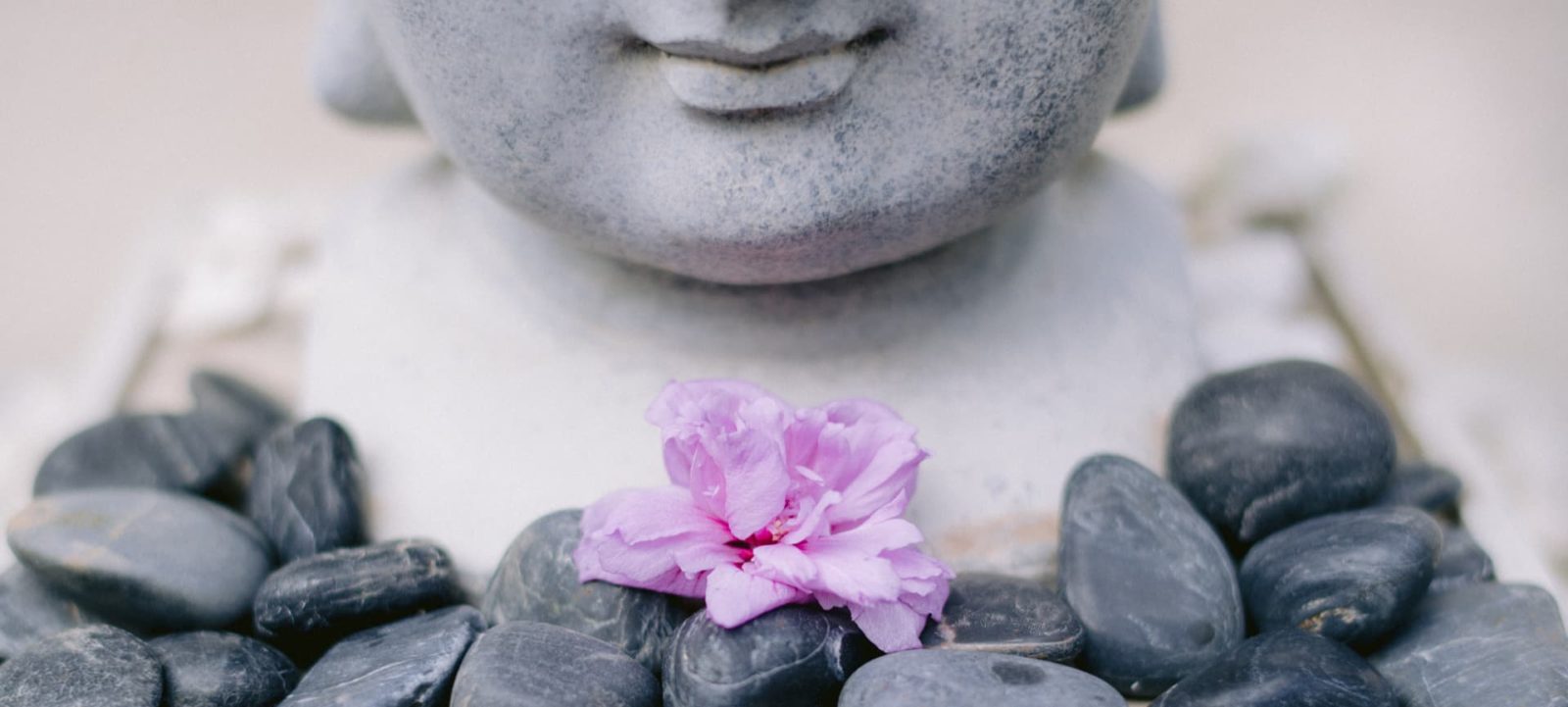 Tête de Bouddha et fleur posée sur des galets.